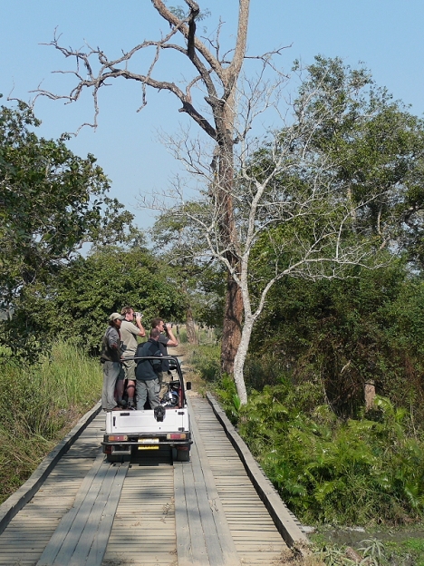 Kaziranga