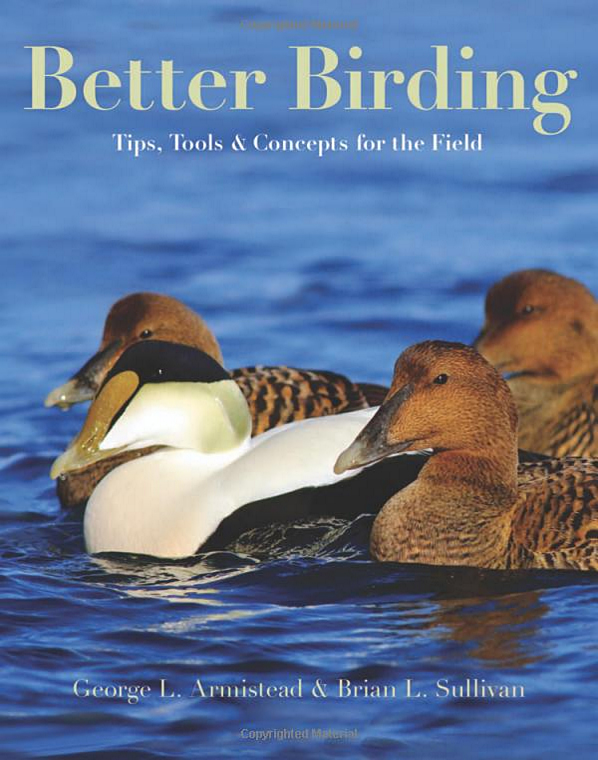 Better Birding