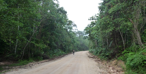 Bunker trail