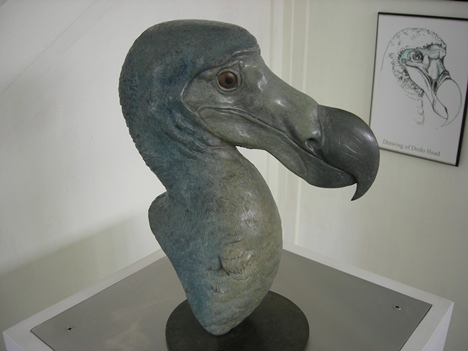 Dodo