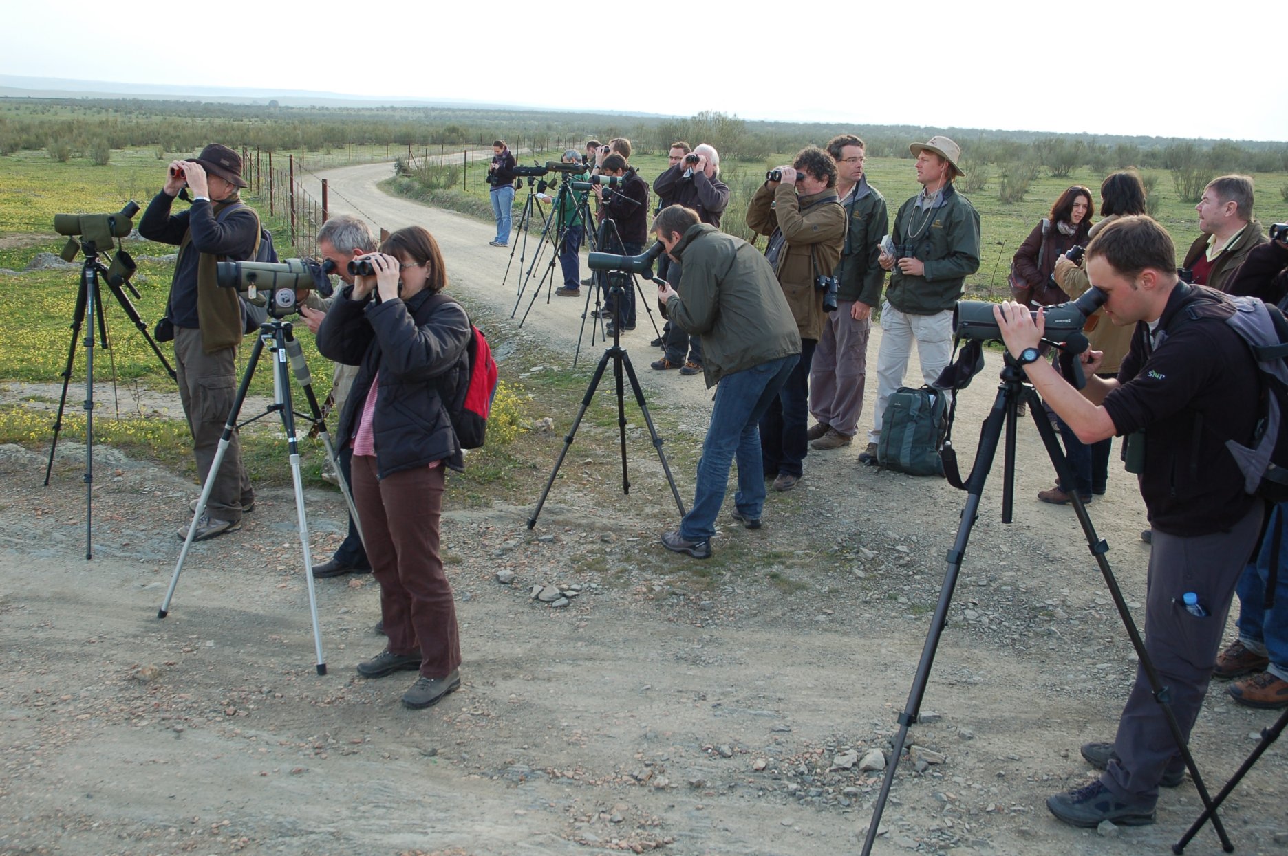 Extremadura Vogelaars