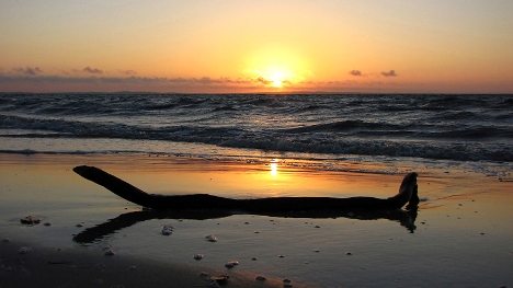 Fraser Island