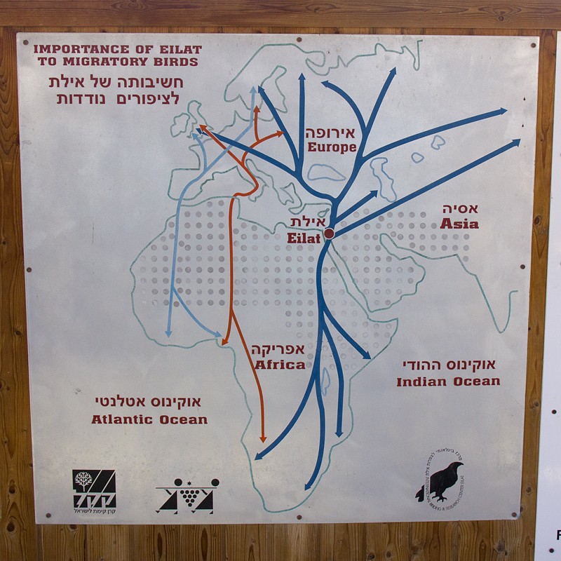 migration schedule