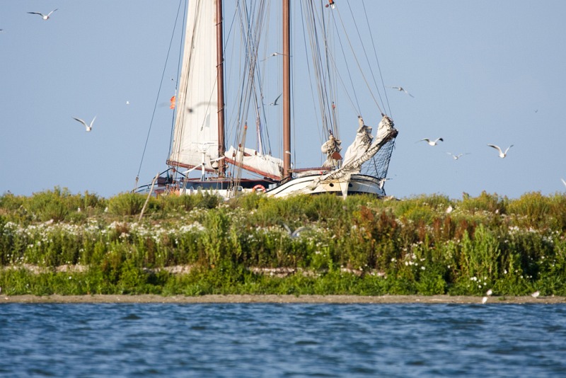 Zeilboot Schuttevaer