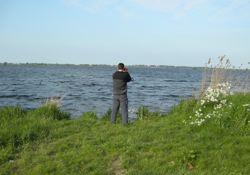 locatie witvleugel